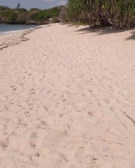 Kuruwitu Beach