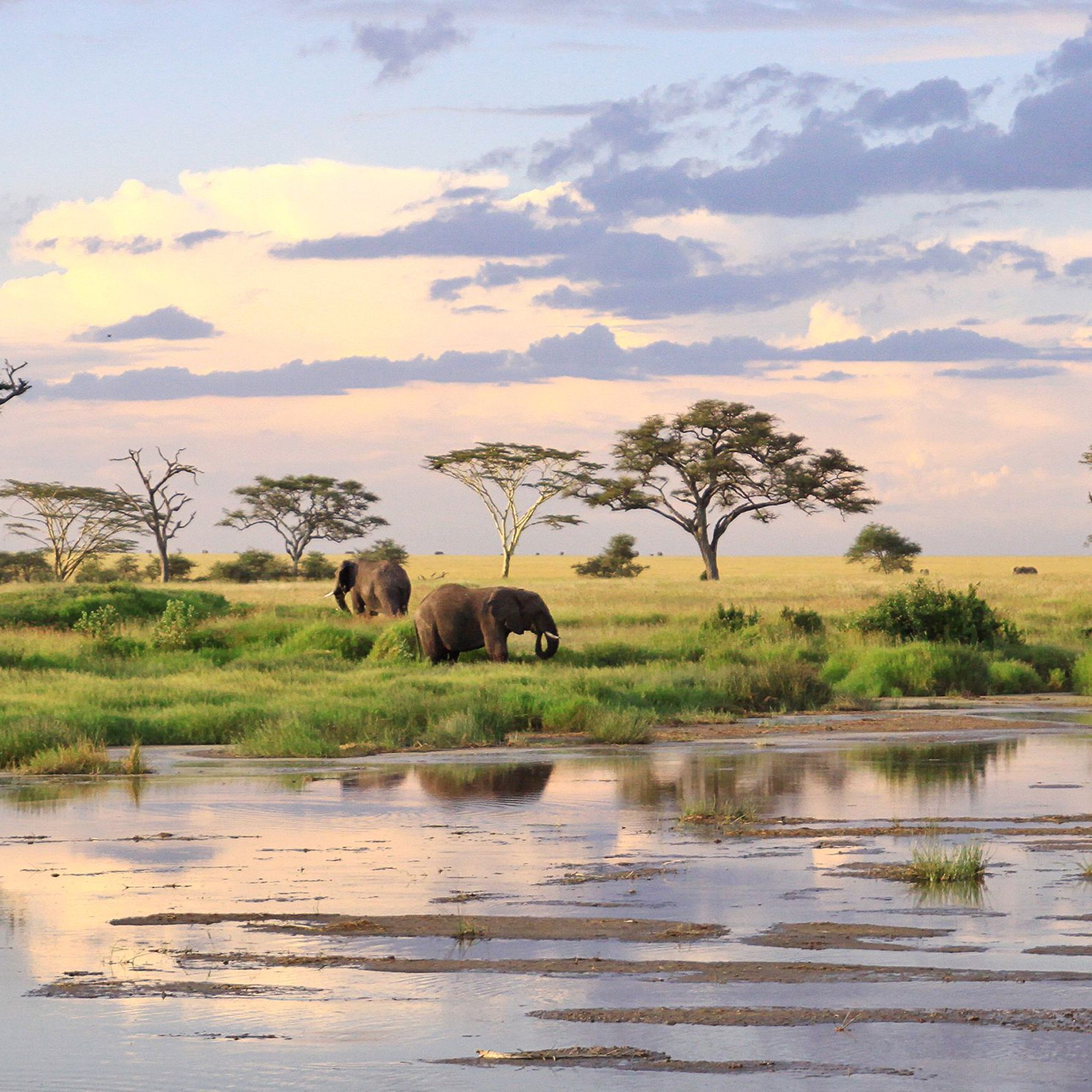 Tsavo East National Park