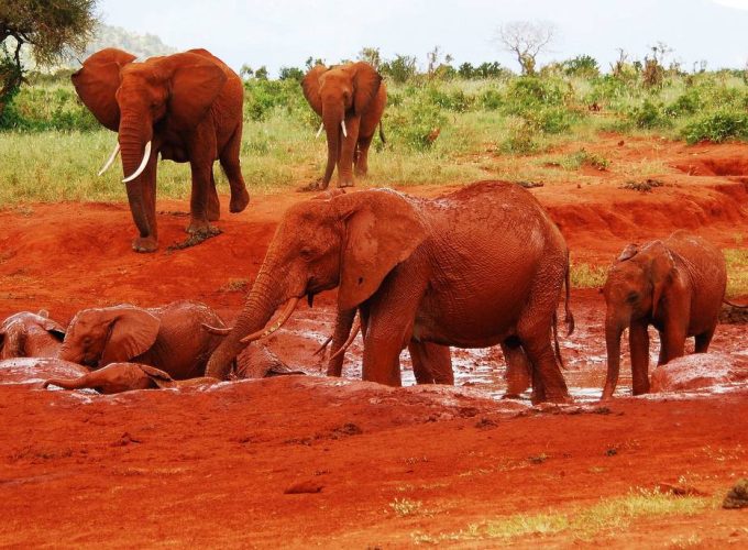 Tsavo East National Park