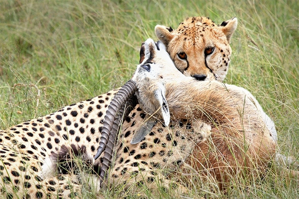 Tsavo East National Park