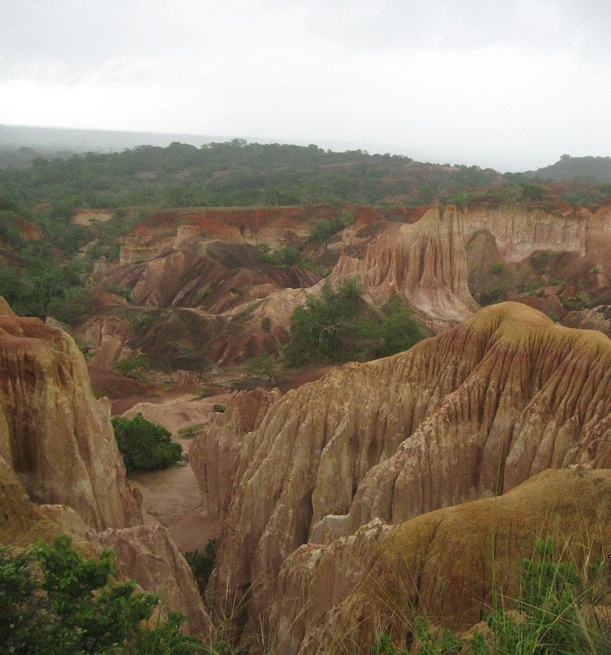 Marafa-Hells Kitchen