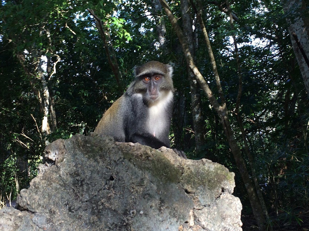 Gede National Monument