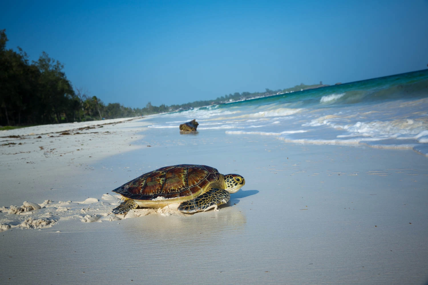 Places to visit in Kilifi