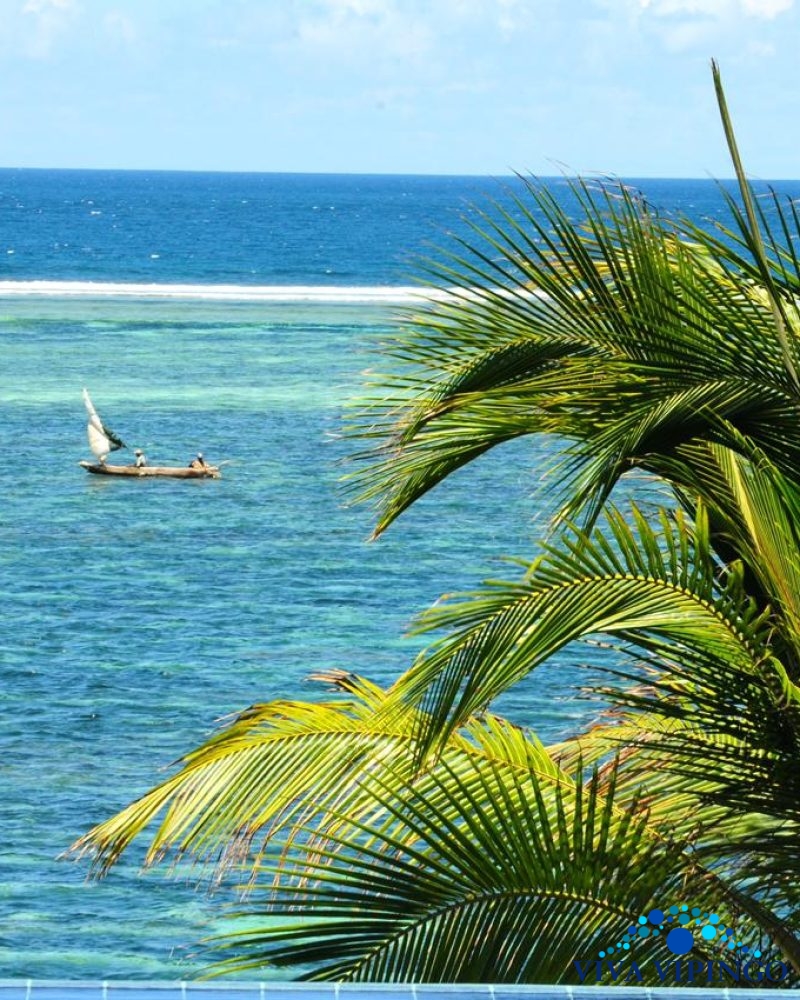 PHOTO-2025-07-23-20-44-50 (1)